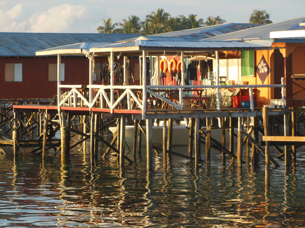 2013-11-10 Billabong Scuba, Mabul 